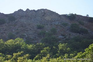Pineta di Graniti